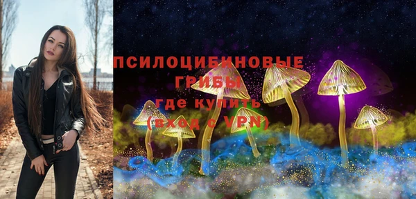 шишки Сатка