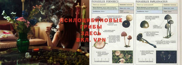 гашишное масло Абдулино