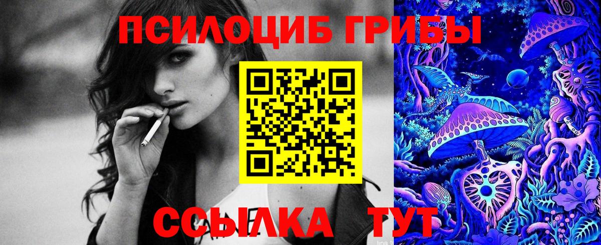 Гагарин  Псилоцибиновые грибы Psilocybe  Вход с VPN 