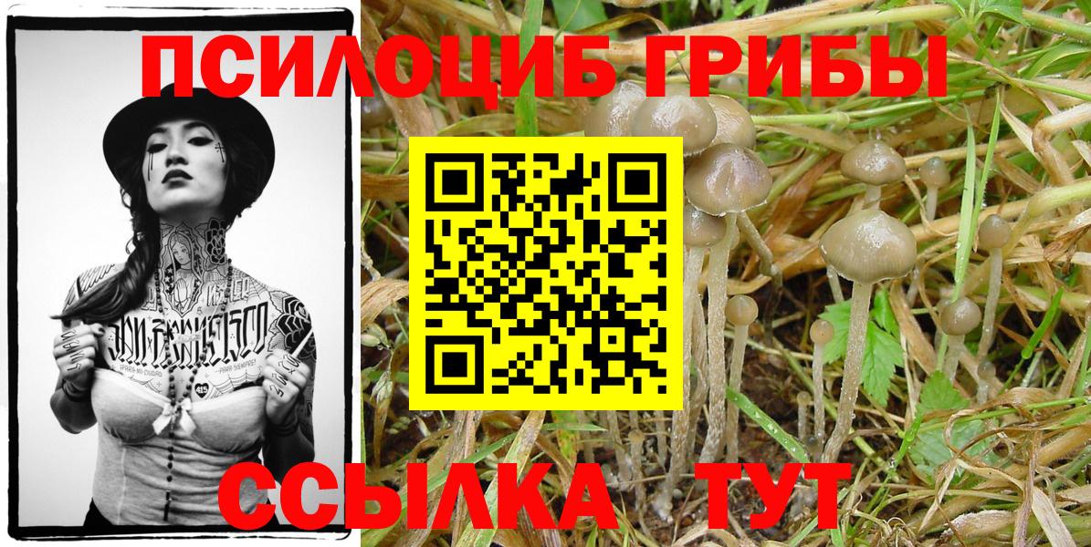 Псилоцибиновые грибы Magic Shrooms Гагарин